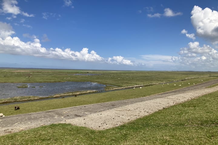 Photo 50 of De Buorren 30