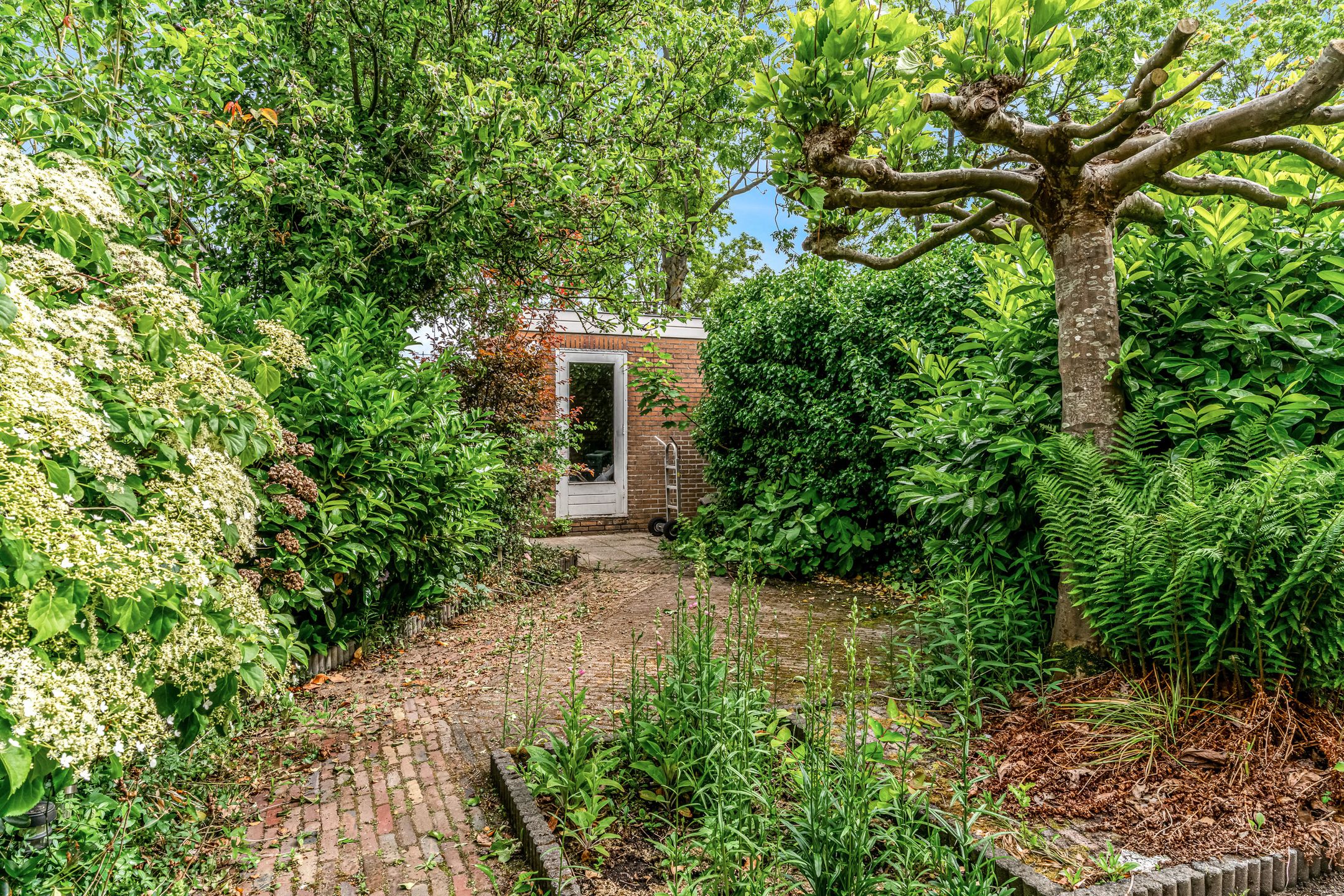 Foto 15 van Molenbuurt 40