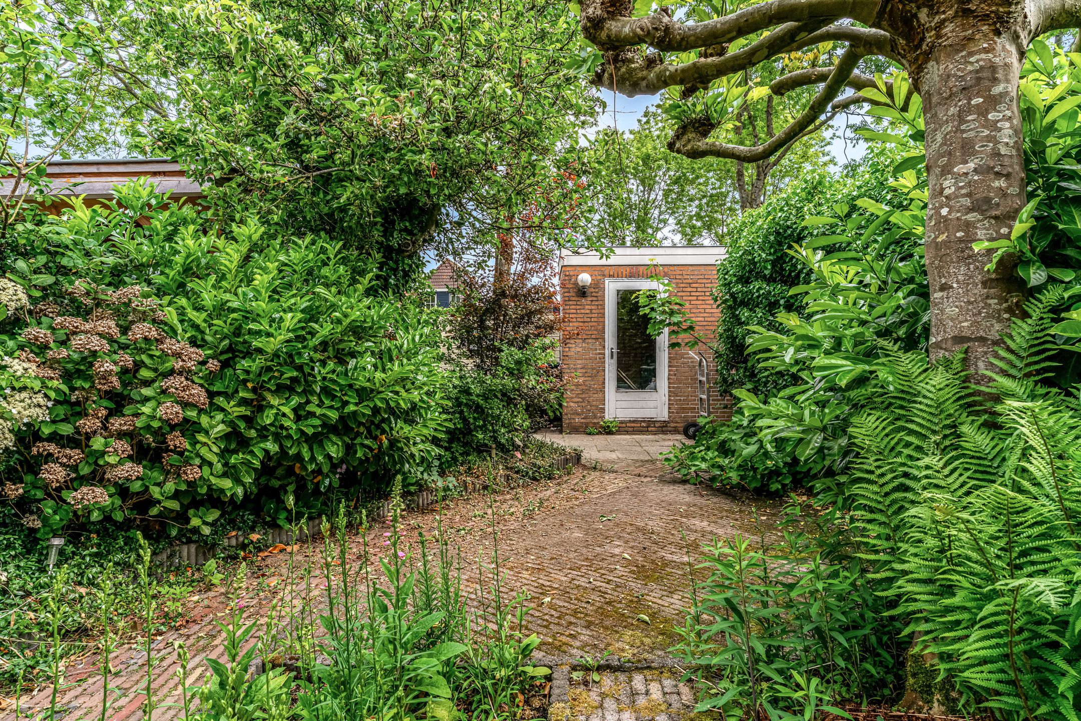 Foto 18 van Molenbuurt 40