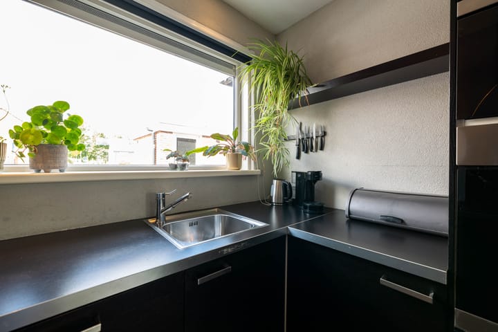 Foto 16 van Zenit 22