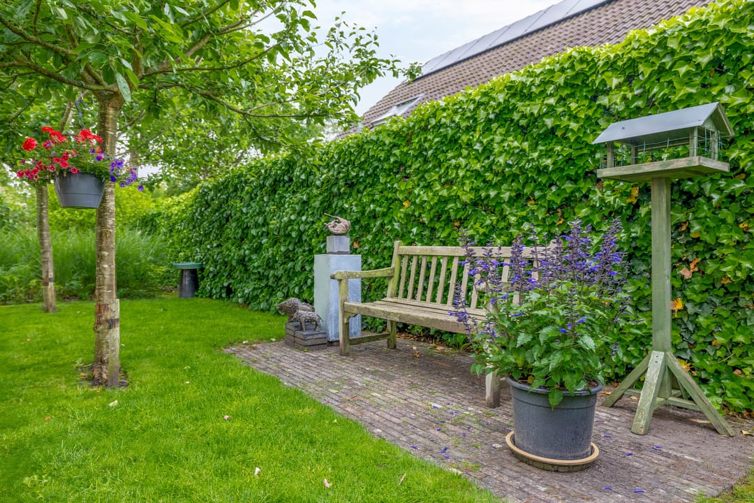 Foto 31 van De Goorns 6