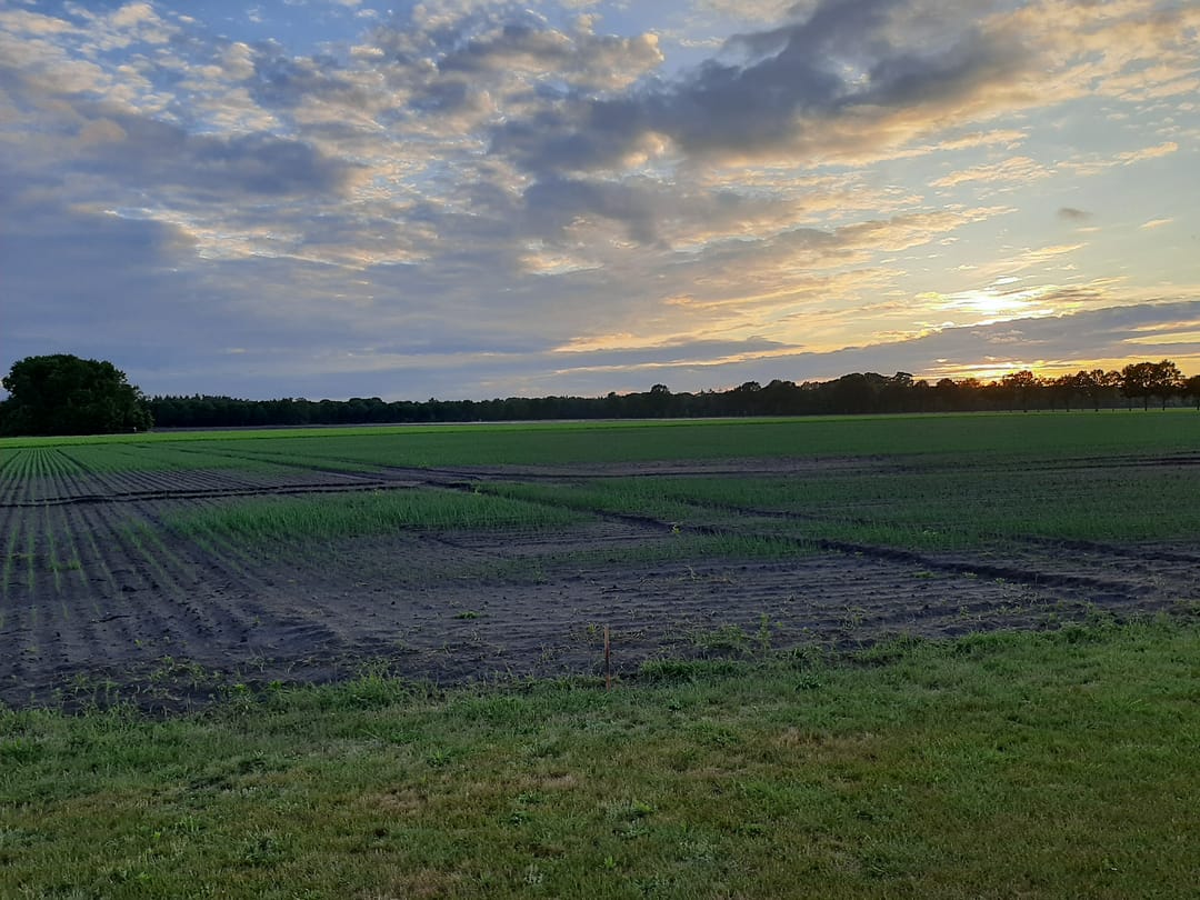 Foto 43 van Hoogeindseweg 26