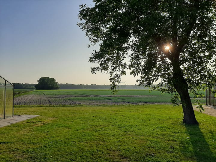 Foto 51 van Hoogeindseweg 26