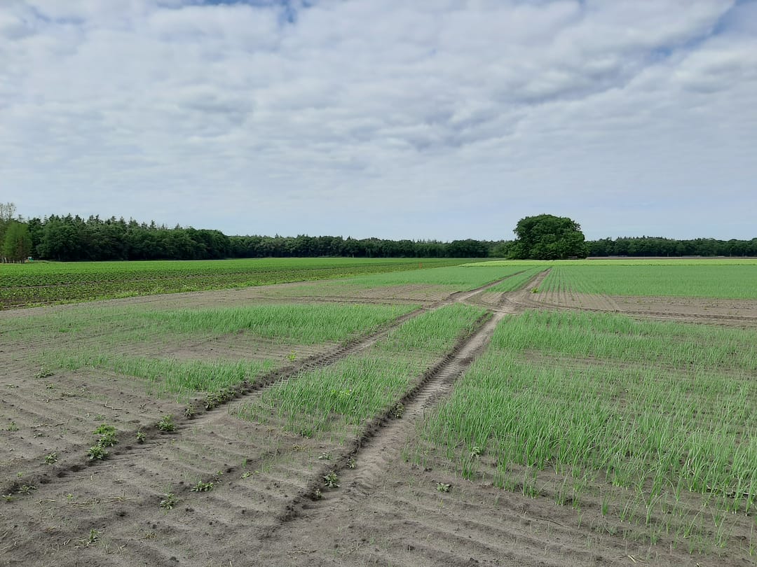 Foto 52 van Hoogeindseweg 26