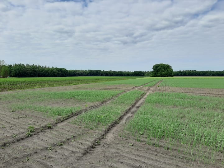 Foto 52 van Hoogeindseweg 26