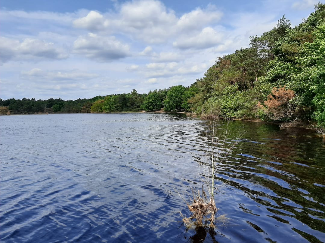 Foto 68 van Hoogeindseweg 26