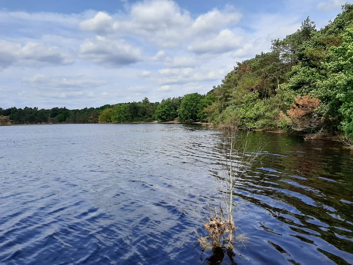 Foto 68 van Hoogeindseweg 26