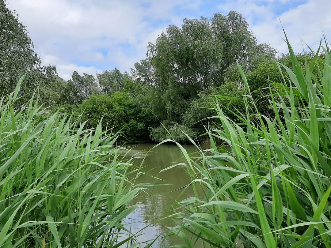 Foto 61 van Hoogeindseweg 26