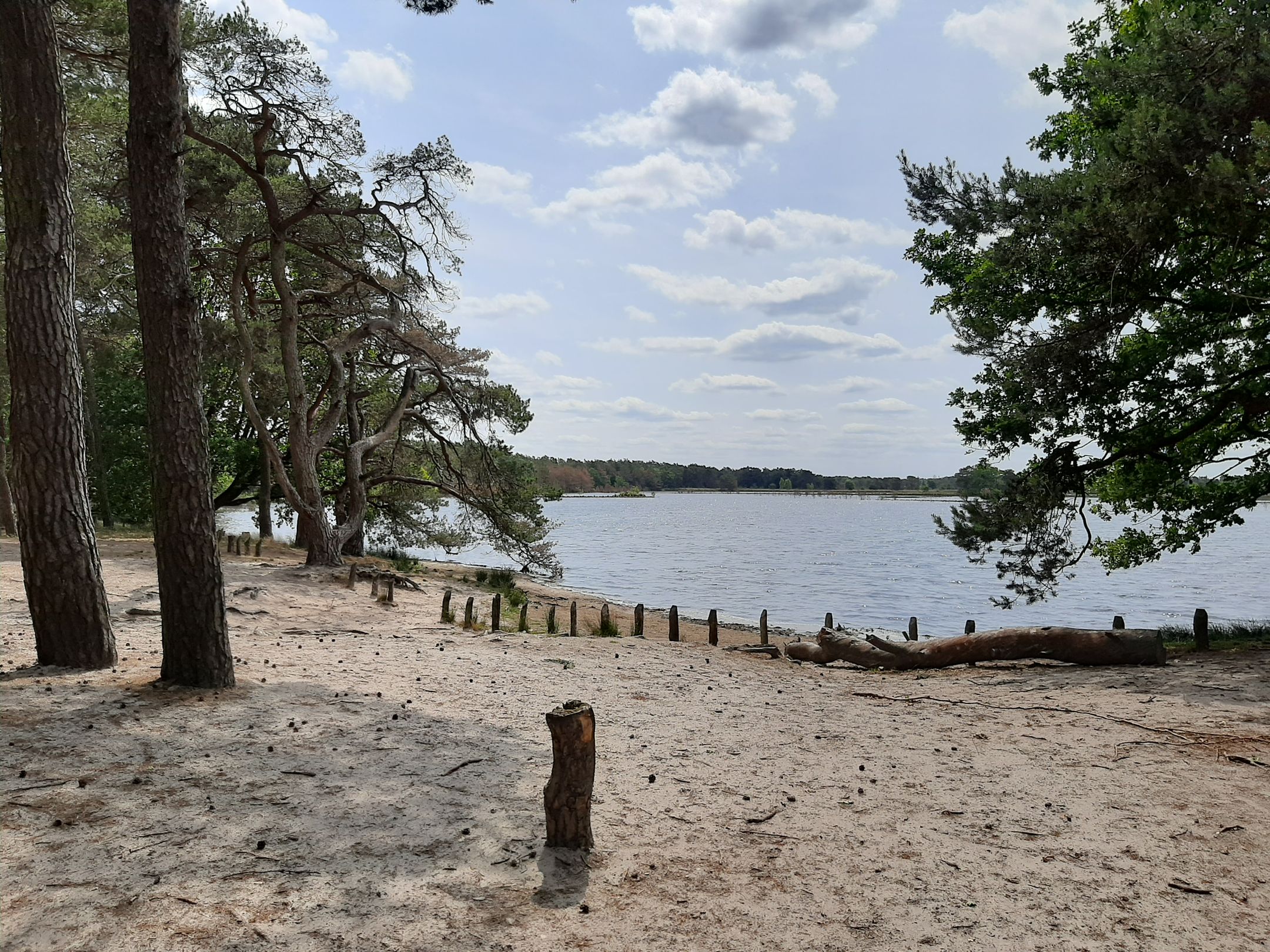 Foto 69 van Hoogeindseweg 26