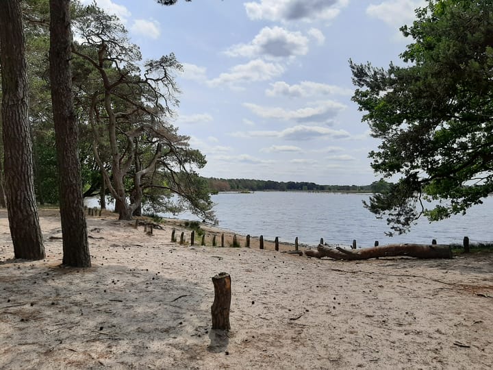 Foto 69 van Hoogeindseweg 26