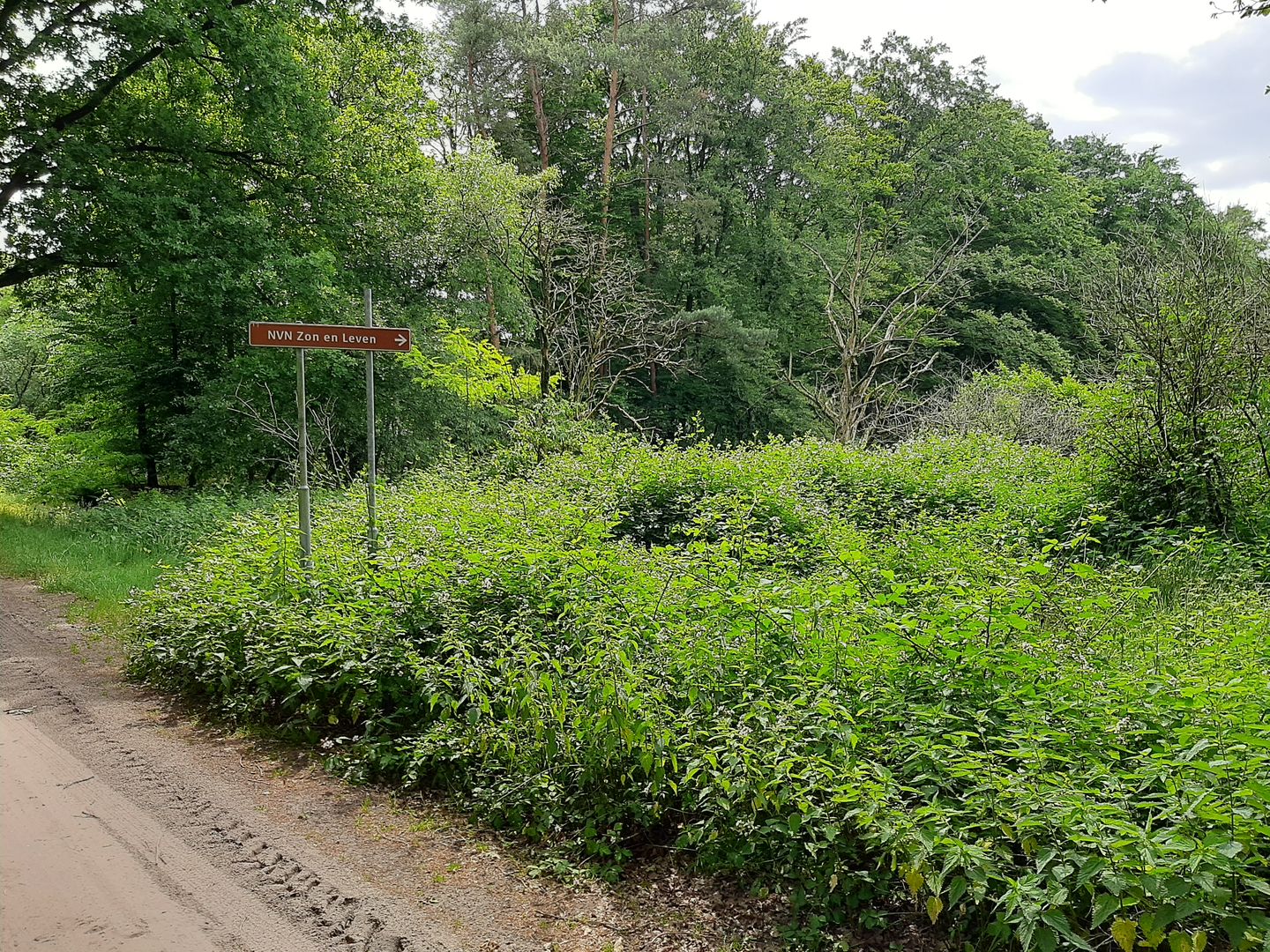 Foto 70 van Hoogeindseweg 26