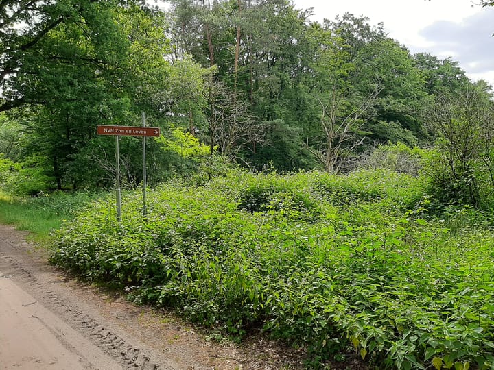 Foto 70 van Hoogeindseweg 26