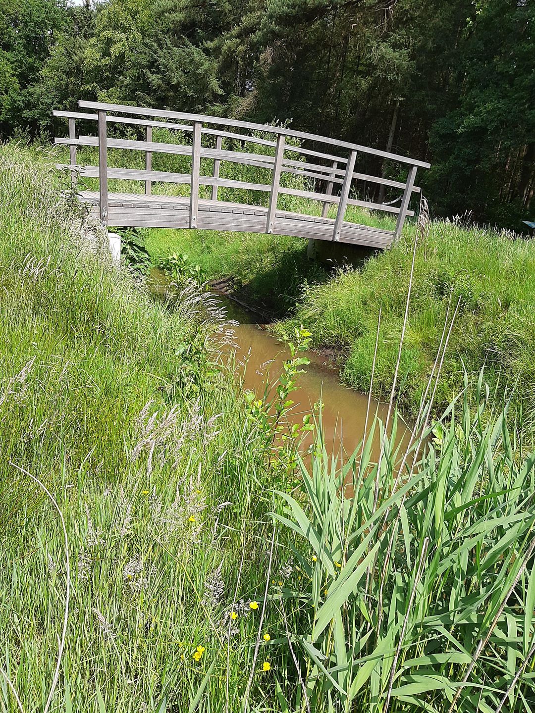 Foto 71 van Hoogeindseweg 26