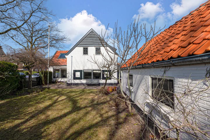 undefined main image