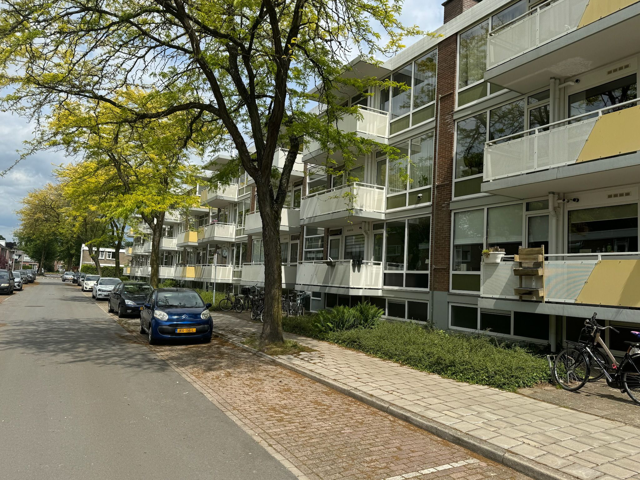 Foto 27 van Verdistraat 53