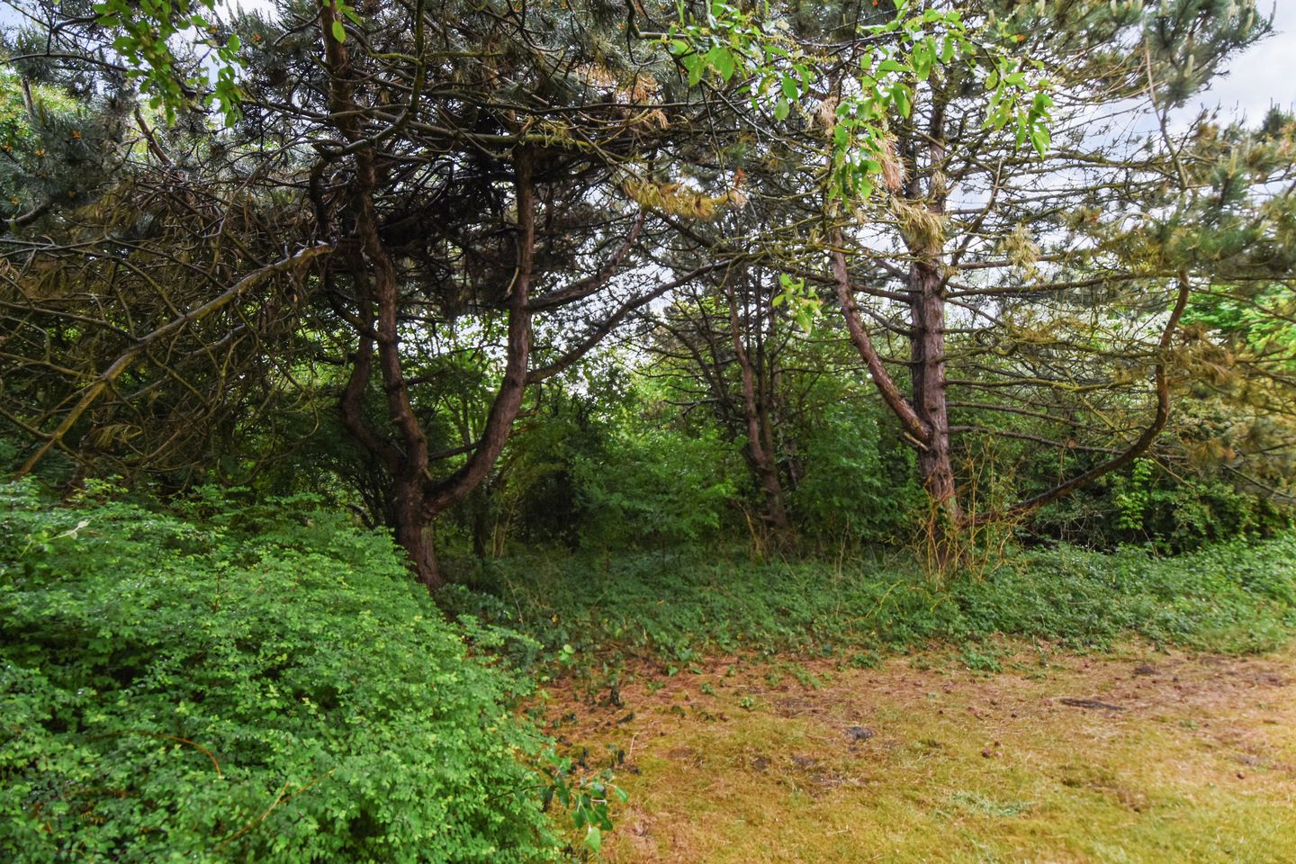 Foto 29 van Machiel Vrijenhoeklaan 450-92