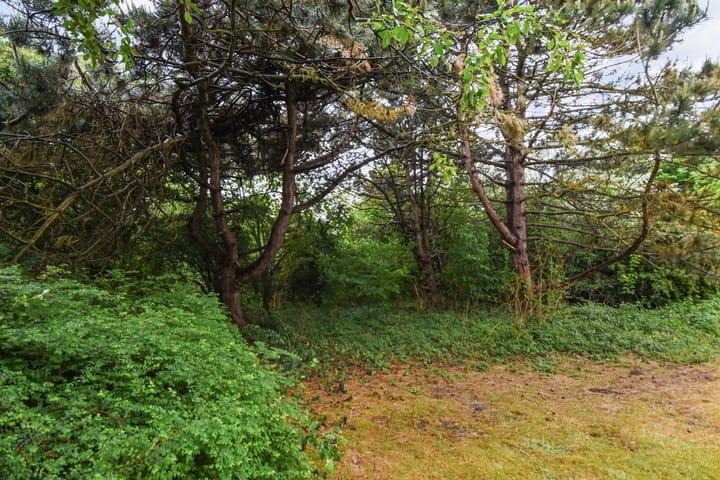 Foto 29 van Machiel Vrijenhoeklaan 450-92