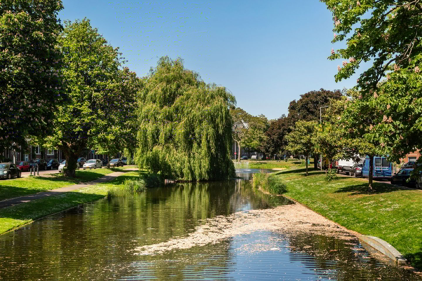 Foto 40 van Schieveenstraat 49-A