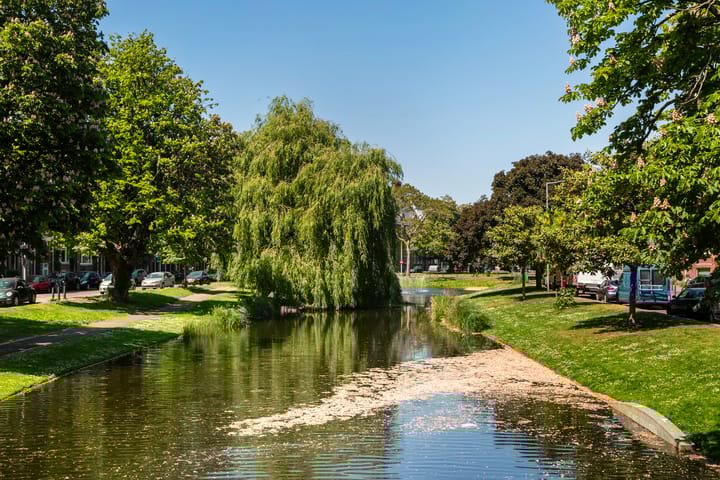 Foto 40 van Schieveenstraat 49-A