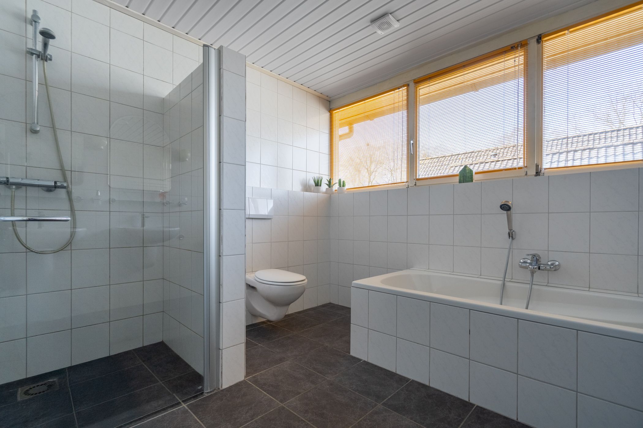 Photo 30 of De Patrijs 33