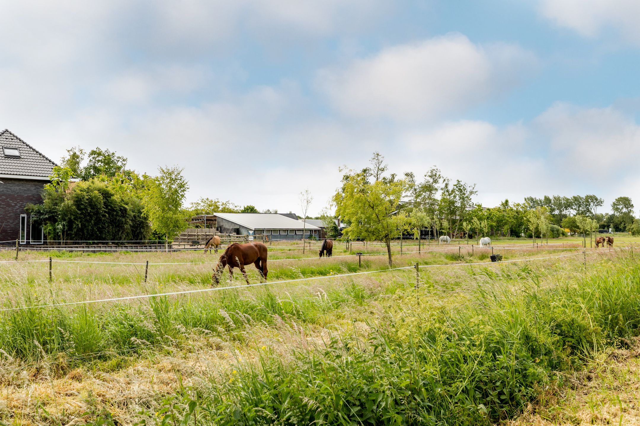 Photo 3 of Kwadijk 119