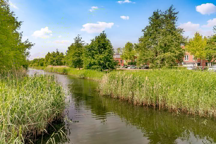 Foto 49 van Giacomettistraat 11