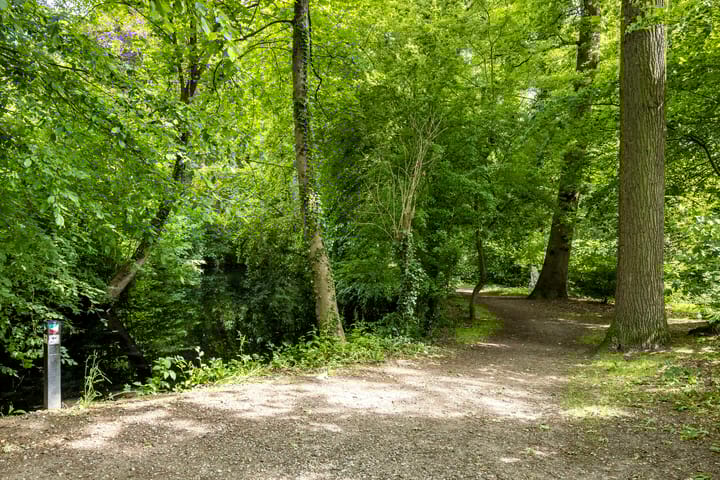 Foto 27 van Strausslaan 3