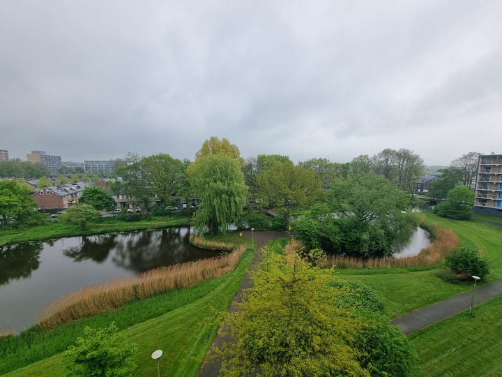 Foto 19 van Plutostraat 160