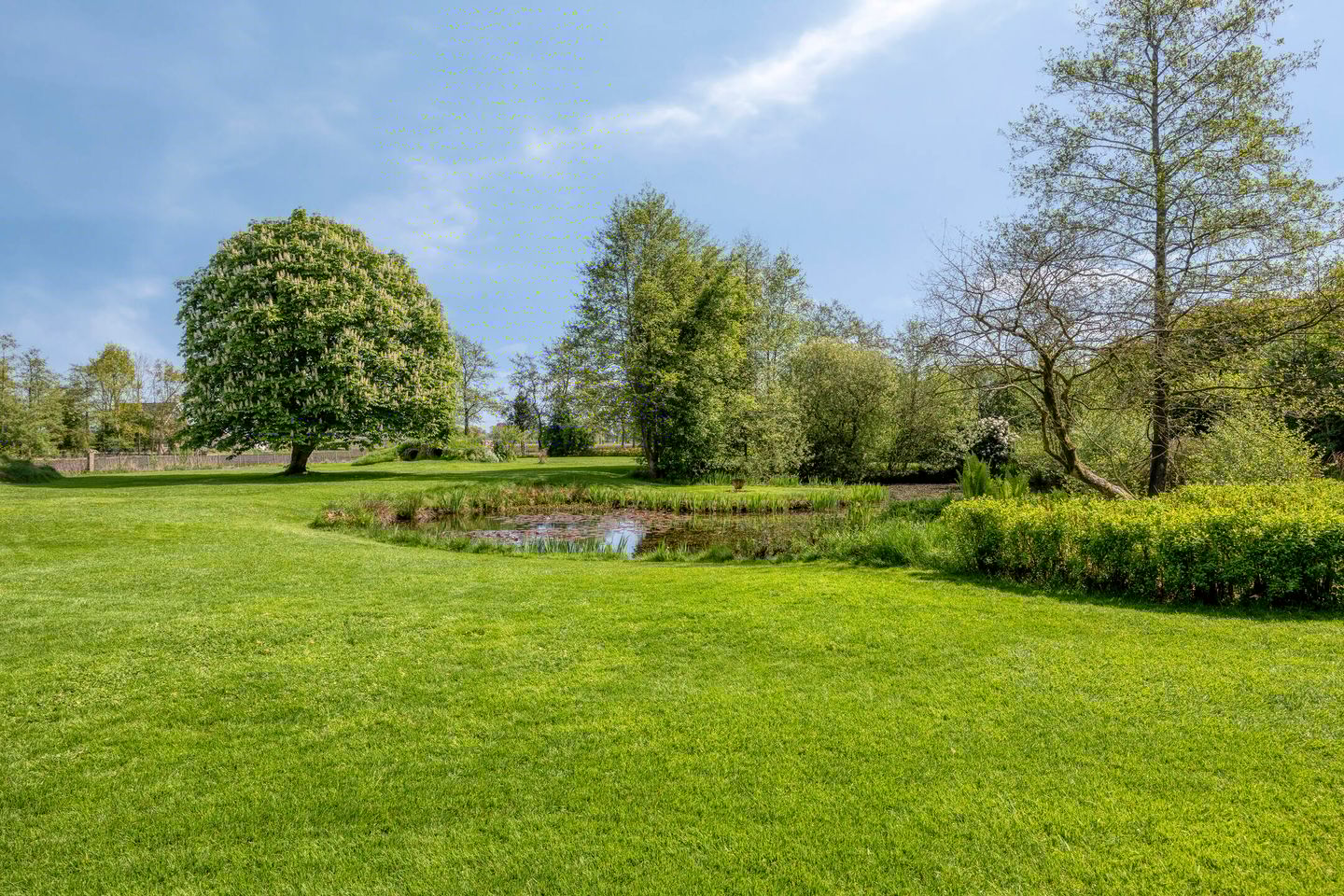 Foto 65 van Oudewijk 32