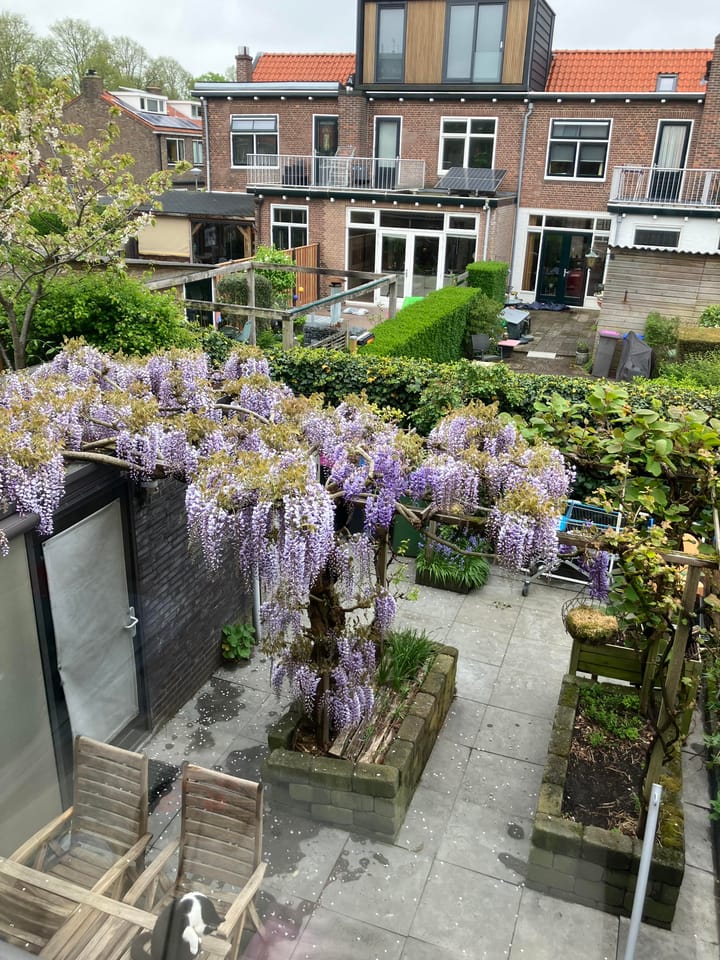 Foto 5 van Pieter de Hooghstraat 27