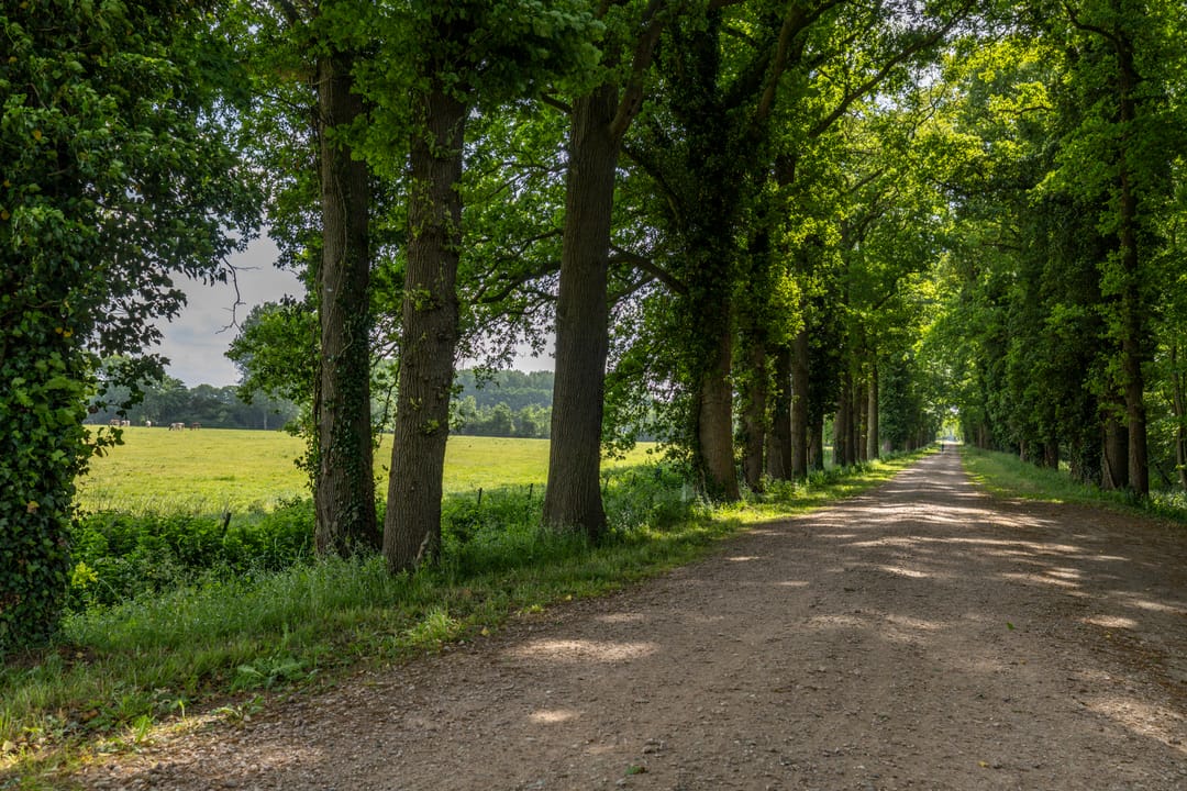 Foto 116 van Hoofdstraat 156