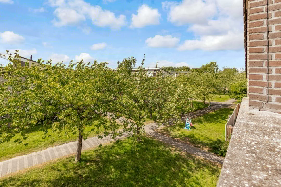 Foto 47 van Okapistraat 29