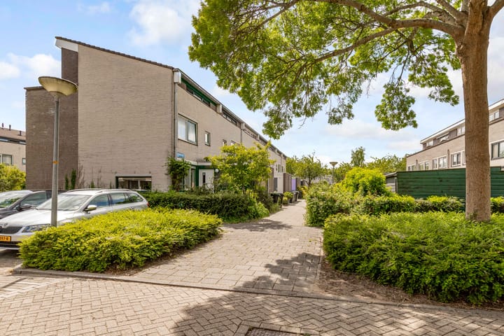 Foto 58 van Okapistraat 29