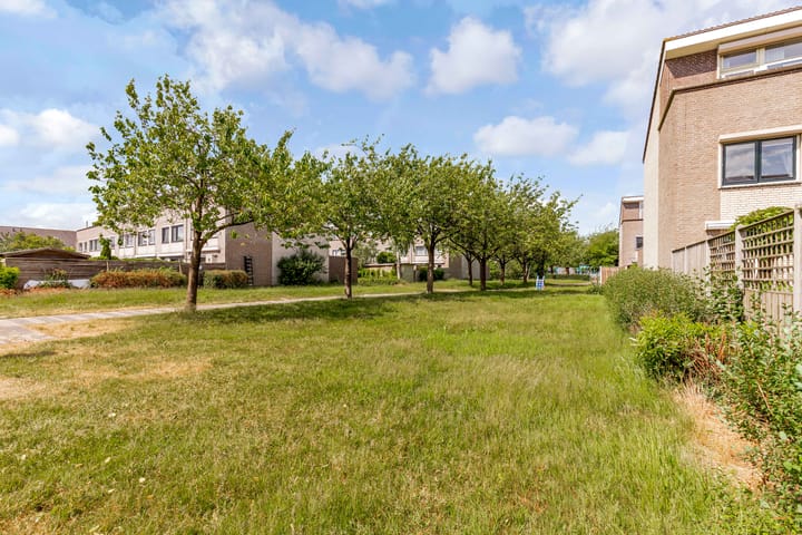 Foto 64 van Okapistraat 29