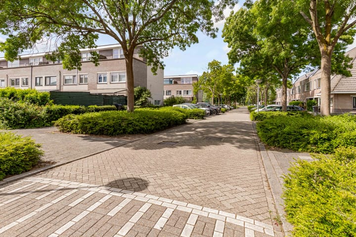 Foto 65 van Okapistraat 29