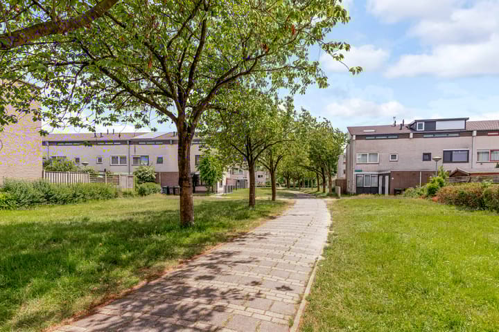 Foto 66 van Okapistraat 29