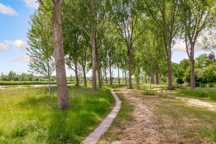 Foto 68 van Okapistraat 29