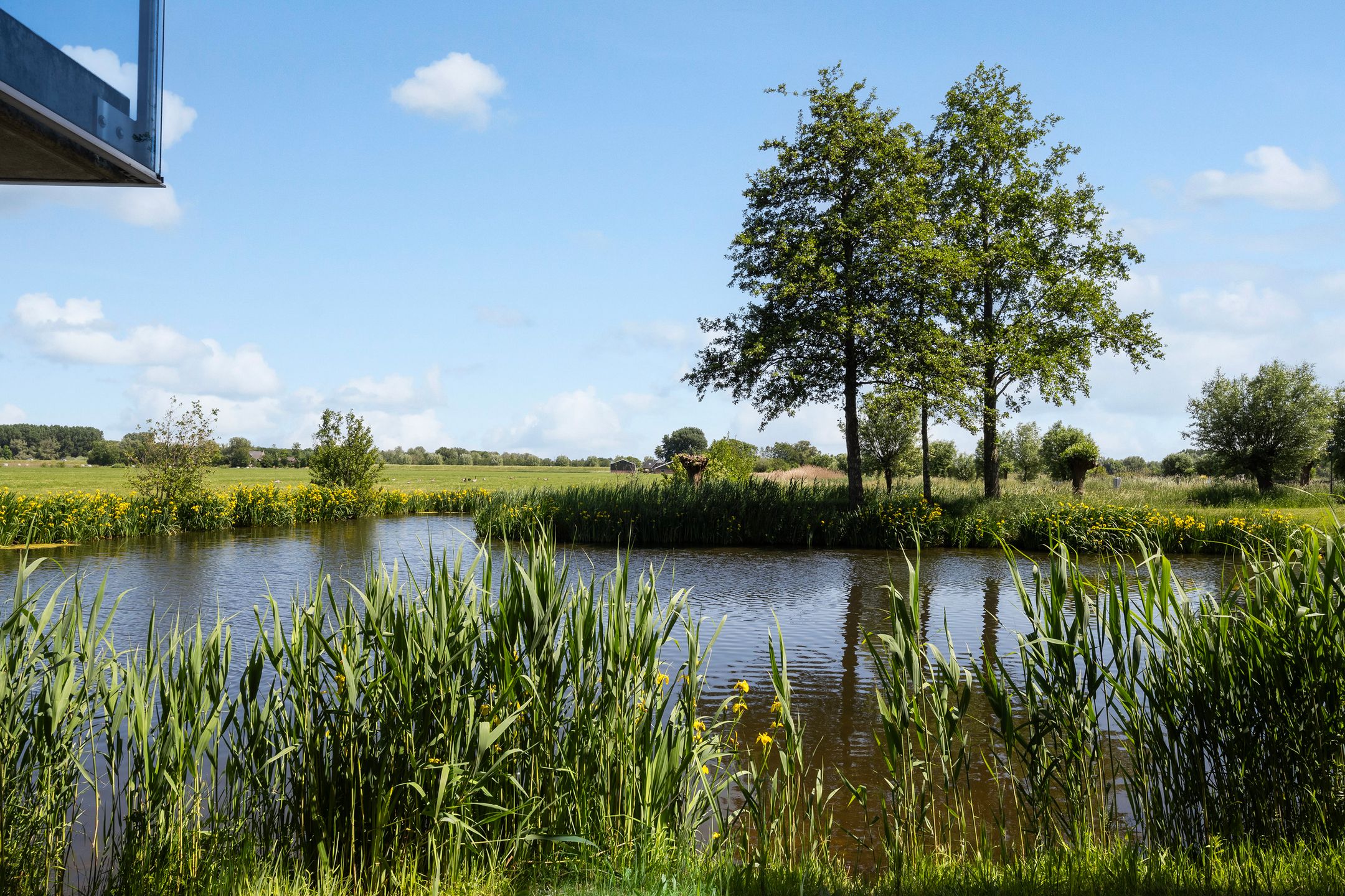 Foto 33 van Goudplevierstraat 122