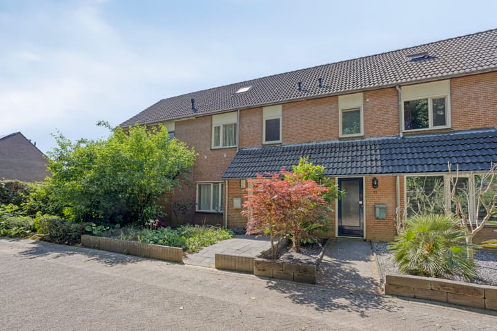 Foto 5 van Sleedoorn 75