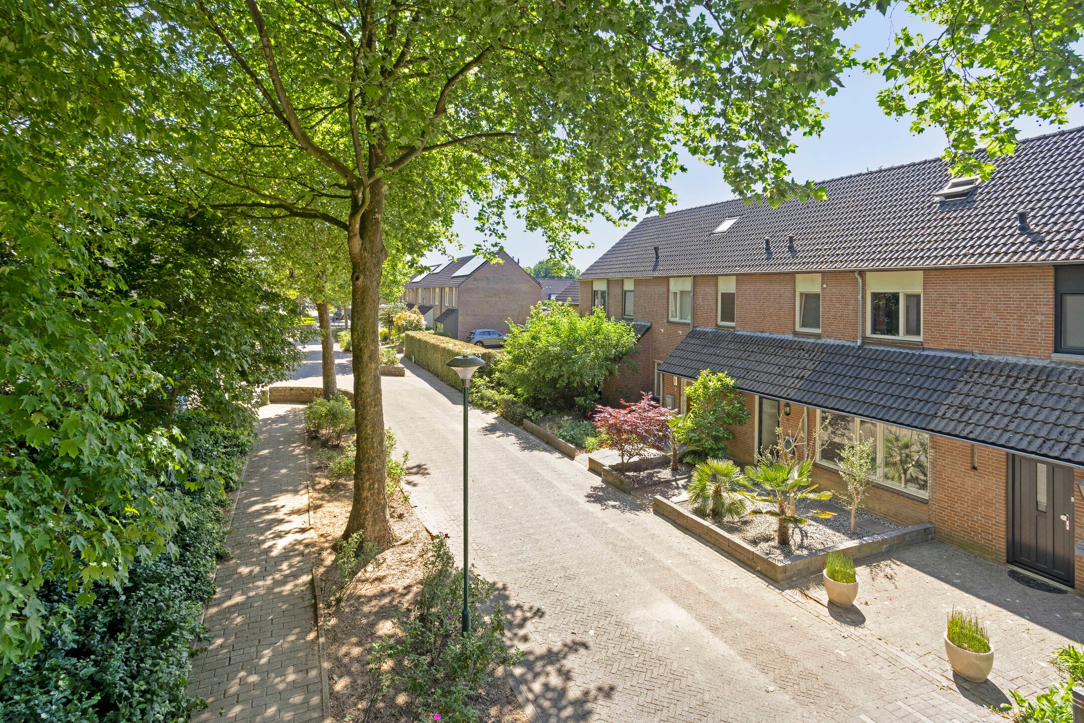 Foto 6 van Sleedoorn 75