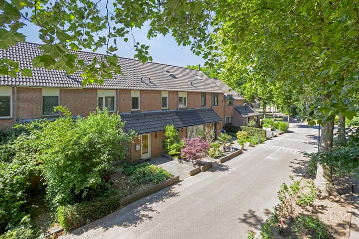 Foto 8 van Sleedoorn 75