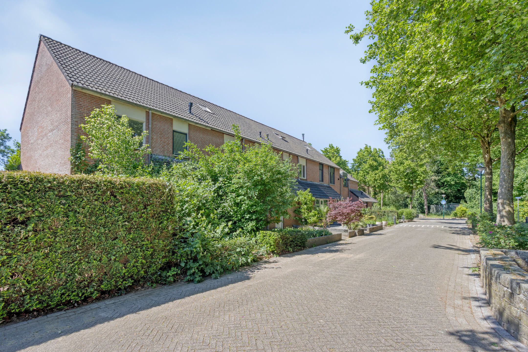 Foto 9 van Sleedoorn 75