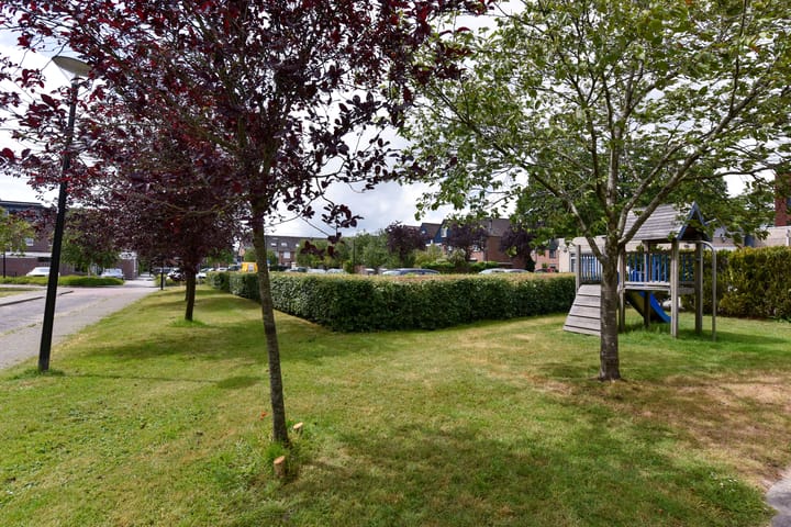 Foto 42 van Zwaluw 133