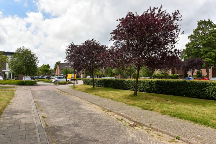 Foto 46 van Zwaluw 133