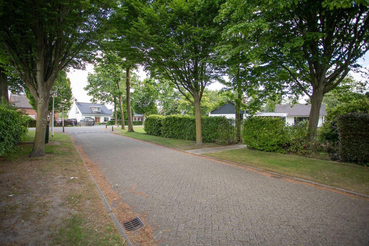 Foto 64 van Bruglaan 3