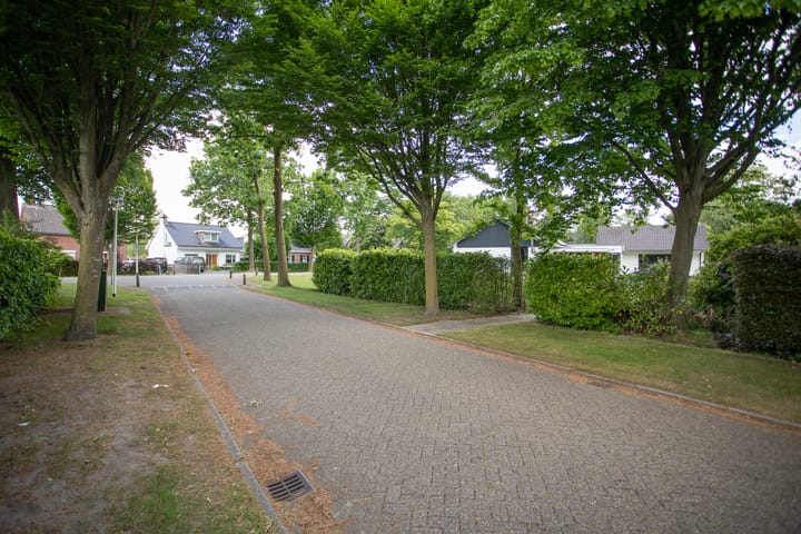 Foto 64 van Bruglaan 3