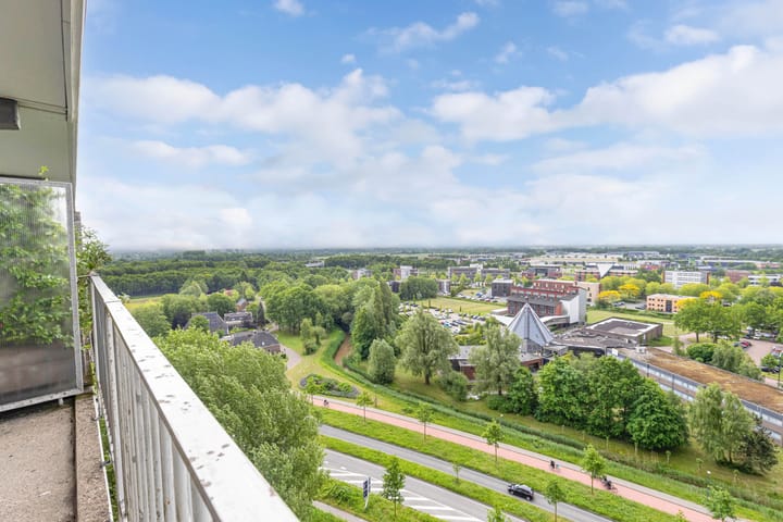 Foto 2 van Tjaarda 280