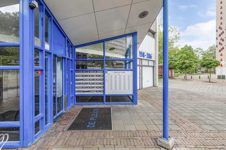 Foto 21 van Tjaarda 280