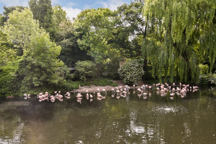 Photo 26 of Kazernestraat 10-C