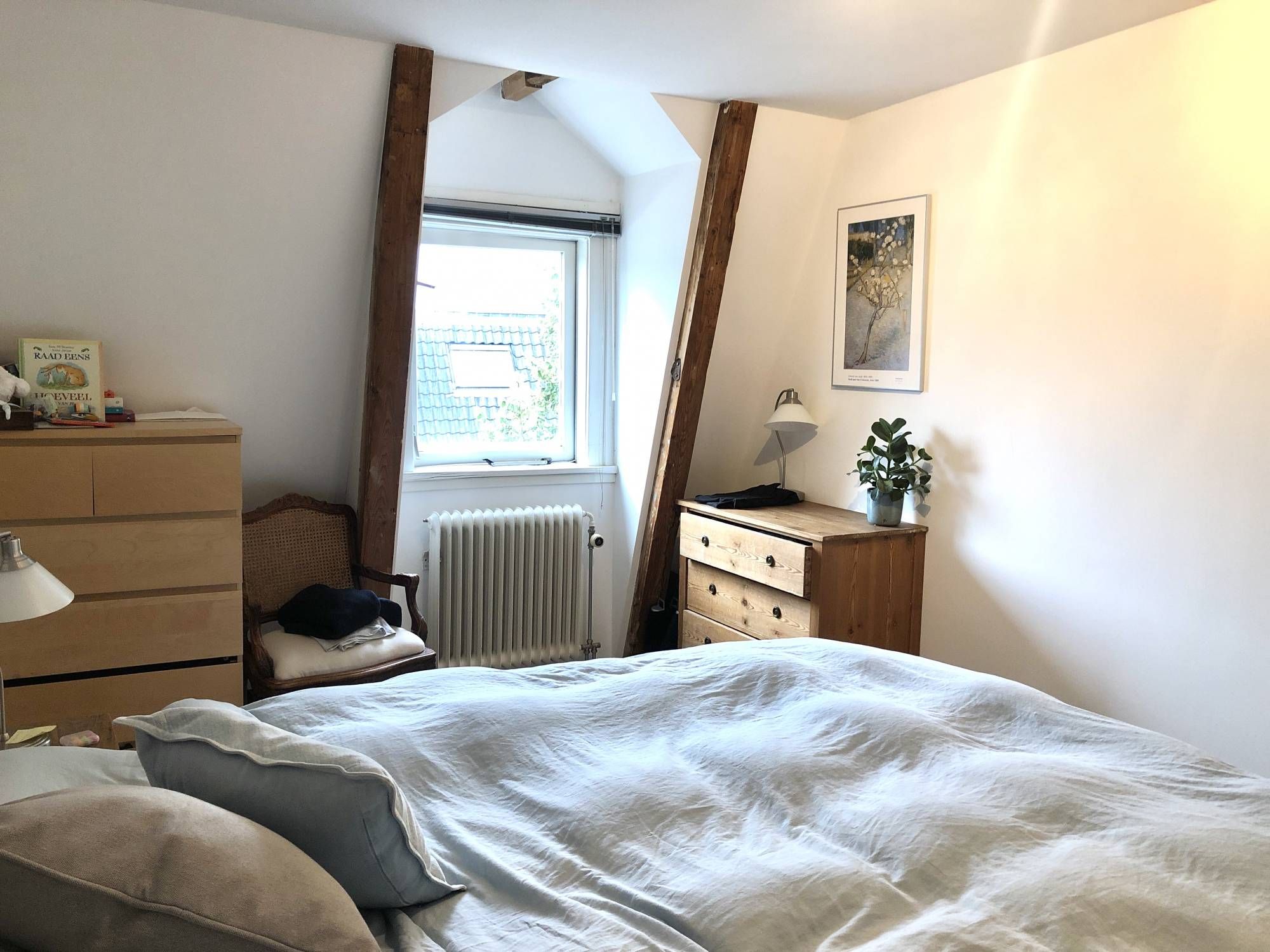 Photo 15 of Burgemeester Reigerstraat 34-B